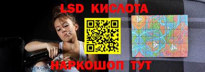 меф Гатчина