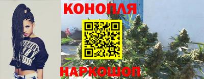меф Гатчина
