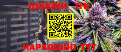 меф Гатчина